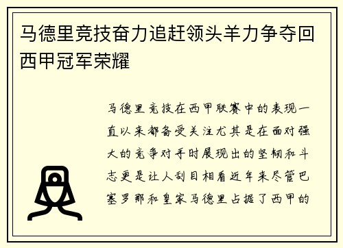 马德里竞技奋力追赶领头羊力争夺回西甲冠军荣耀